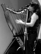 electric harp
